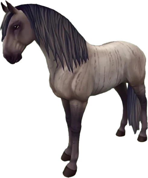 Lusitano, Brindle Dun
