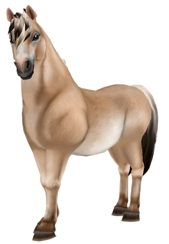 Fjord in Star Stable Online