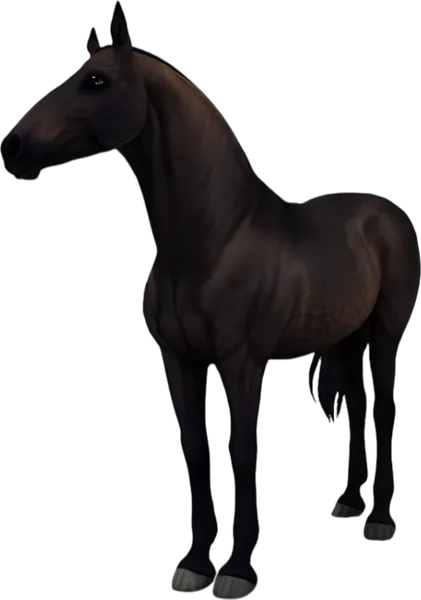 Paso Fino, Sooty Dapple Bay