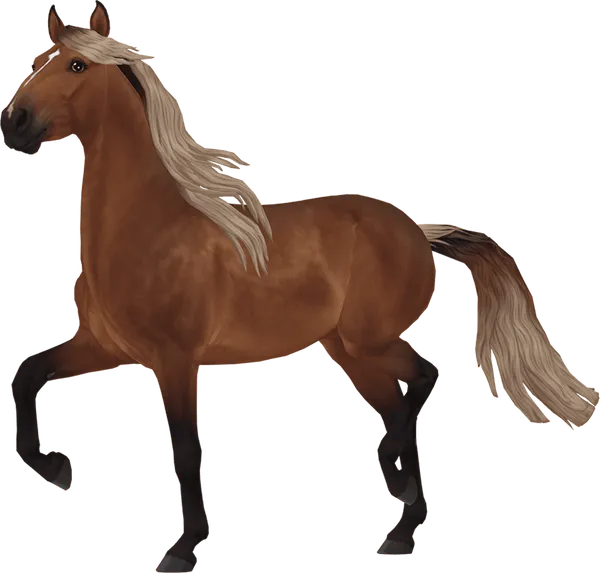 Jorvik Mountain Horse, Silver Bay