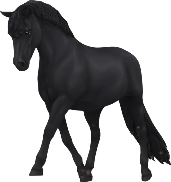Dartmoor, Black