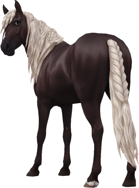 Jorvik Mountain Horse, Silver Black