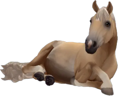 Finnhorse, Palomino