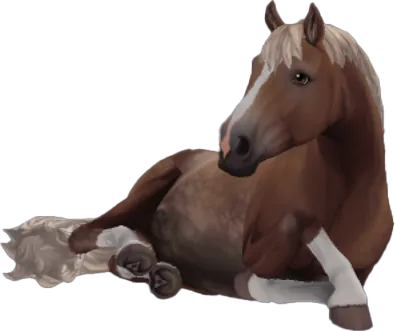 Finnhorse, Flaxen Chestnut Pangare