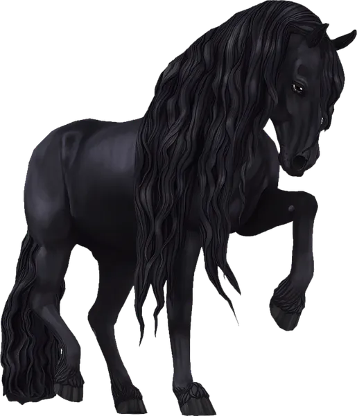 Jorvik Friesian, Jet Black