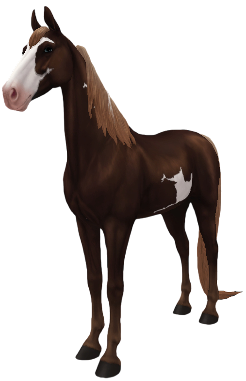 American Saddlebred in Star Stable Online