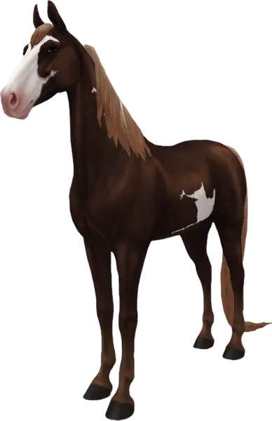 American Saddlebred, Flaxen Liver Chestnut Overo