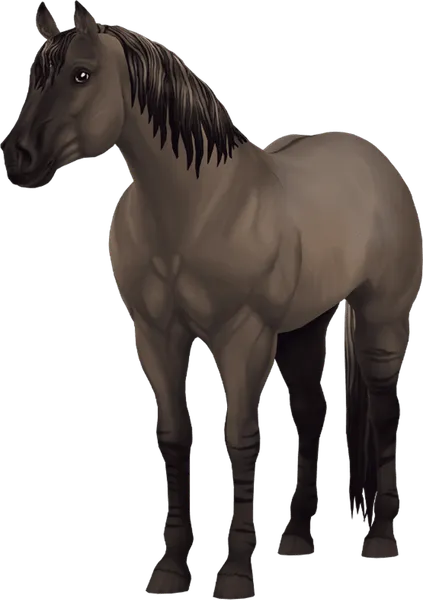 Jorvegian Quarter Horse, Grullo