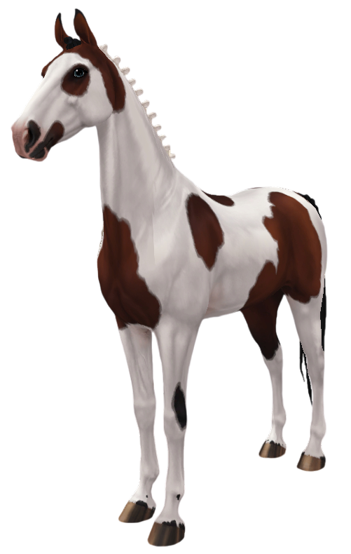 American Saddlebred in Star Stable Online