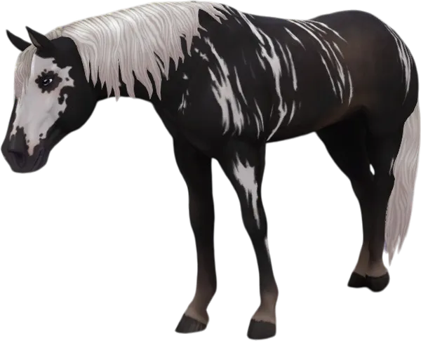 Jorvegian Quarter Horse, Reverse Brindle Silver Black