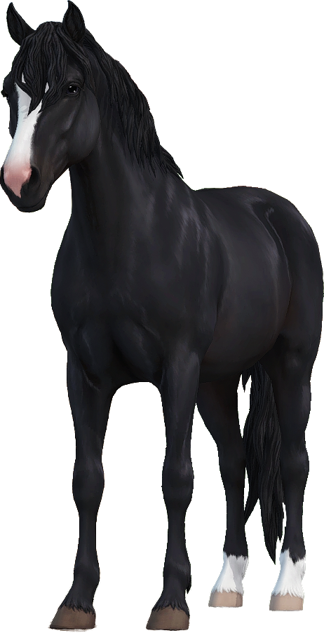 Connemara in Star Stable Online