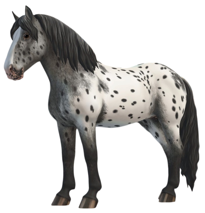 Noriker in Star Stable Online