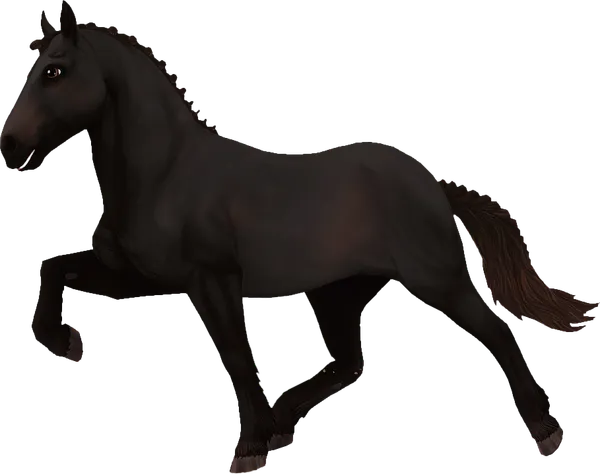 Icelandic Horse, Sun Bleached Black