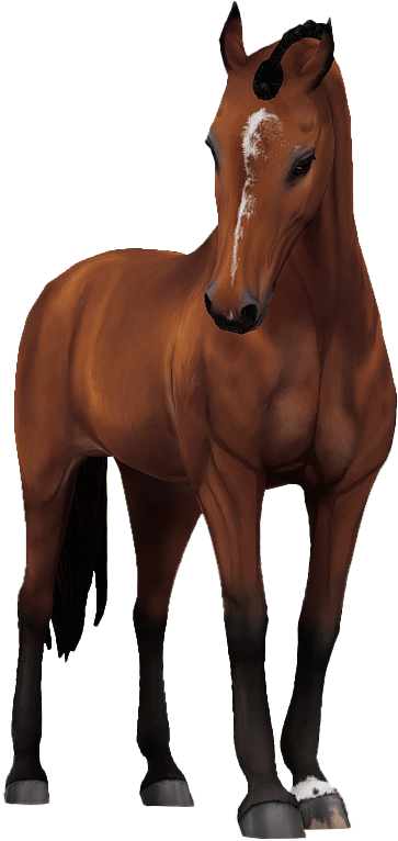 Belgian Warmblood in Star Stable Online