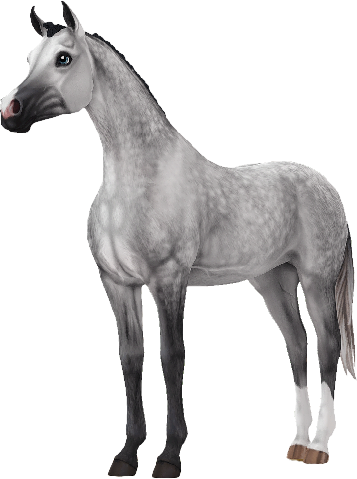 Arabian in Star Stable Online