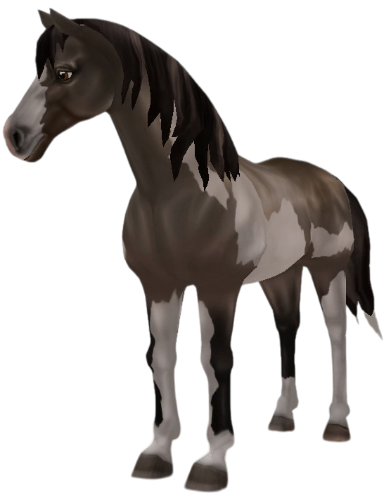 American Paint Horse in Star Stable Online