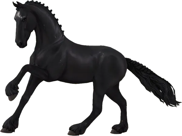 Friesian, Aged Black