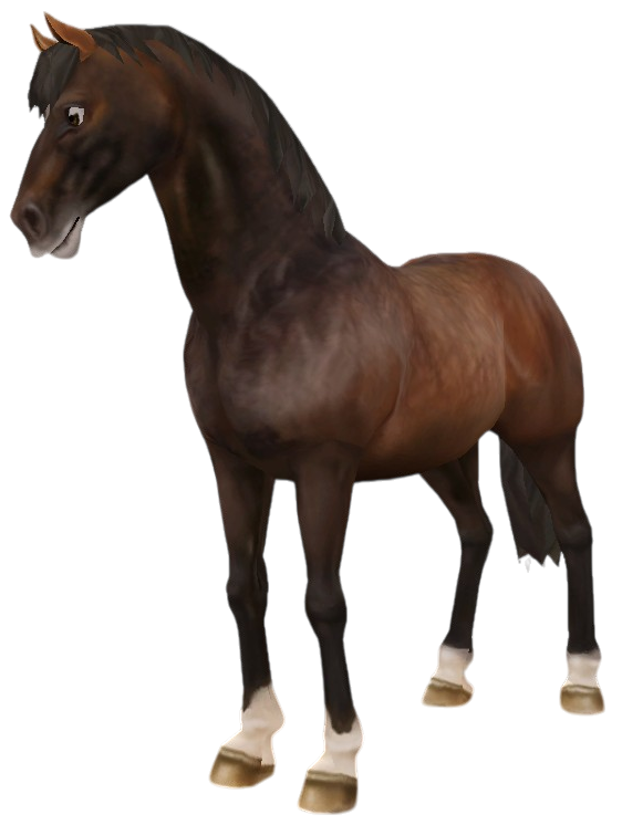 Danish Warmblood in Star Stable Online
