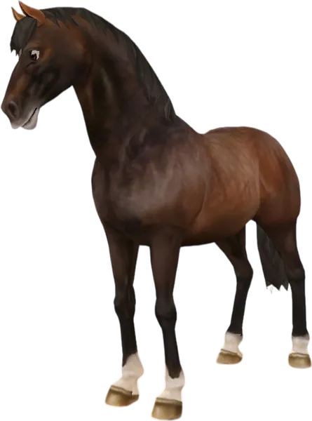 Danish Warmblood, Dapple Brown