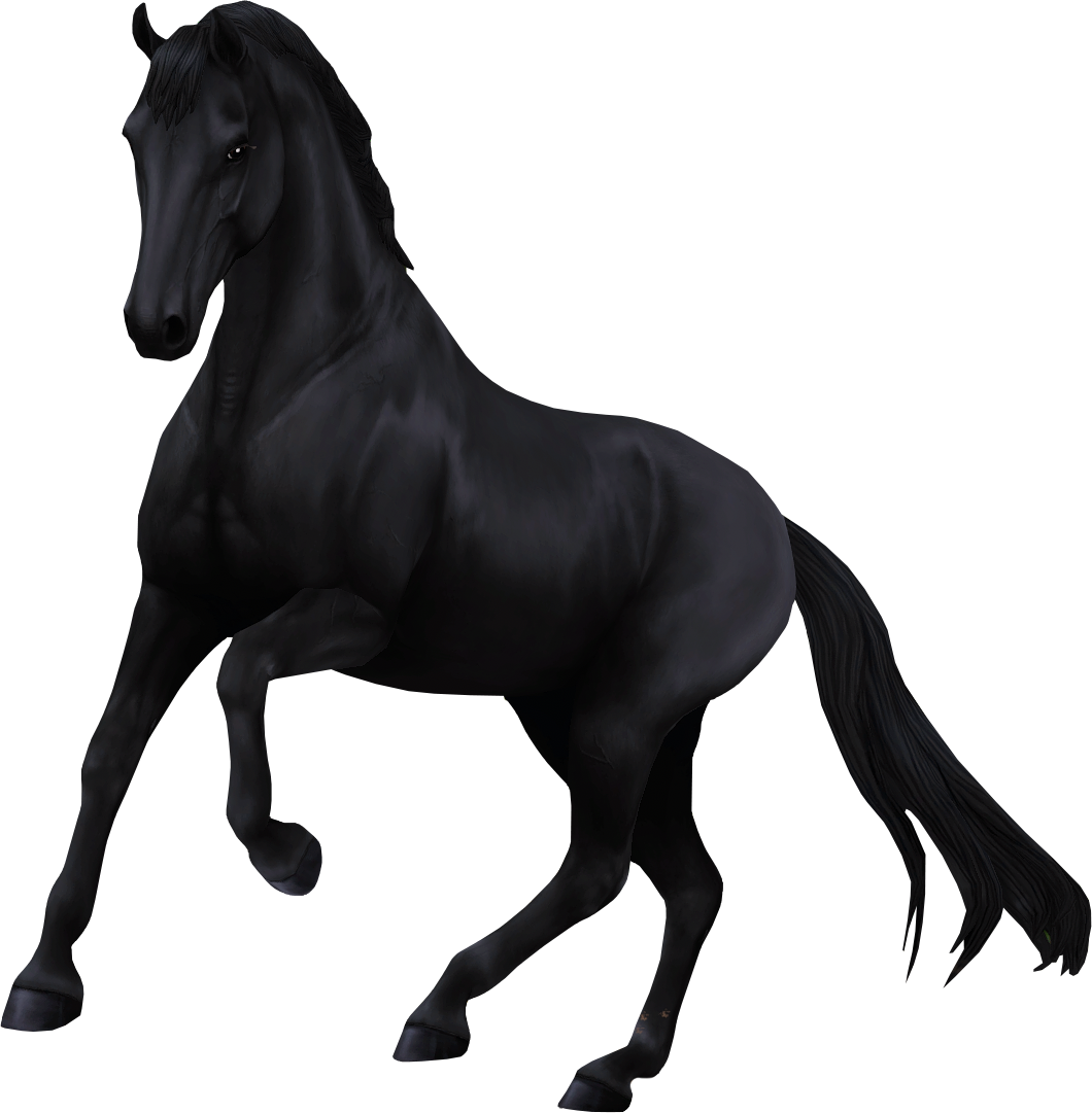 Dutch Warmblood in Star Stable Online