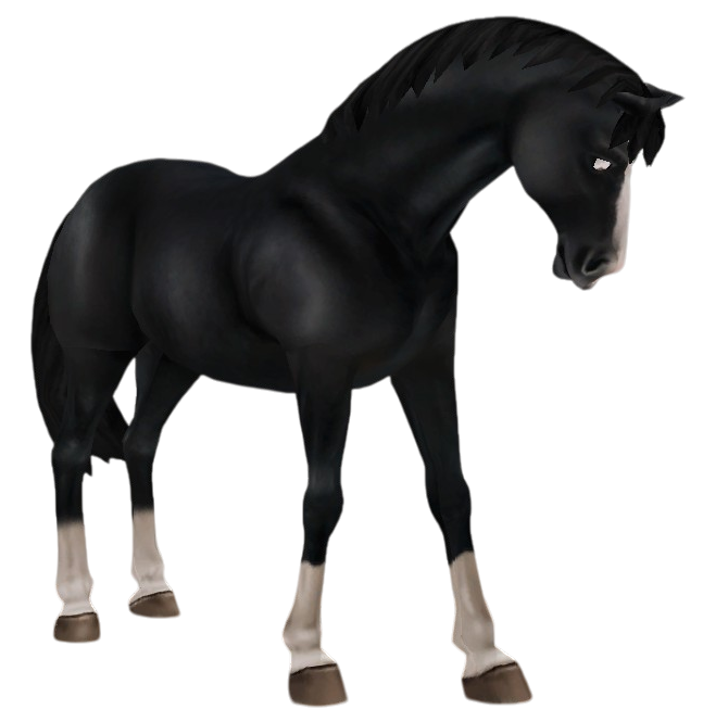 Oldenburg in Star Stable Online