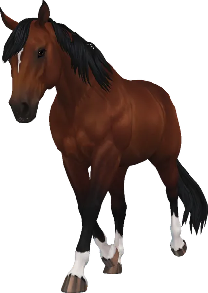 American Quarter Horse, Blood Bay