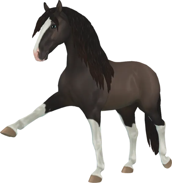 Andalusian, Smokey Black