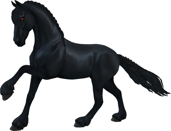 Friesian, Black