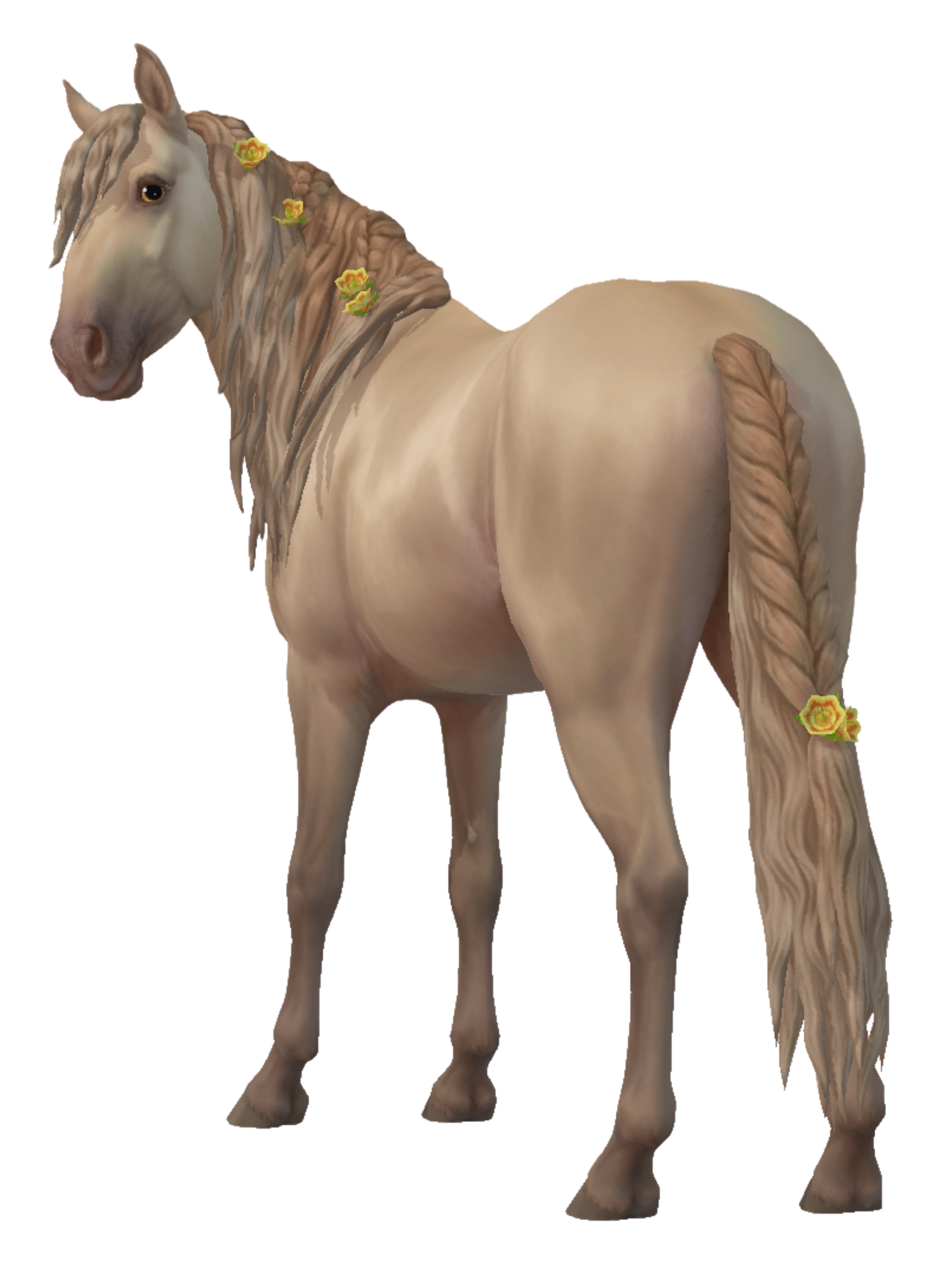 Jorvik Mountain Horse in Star Stable Online
