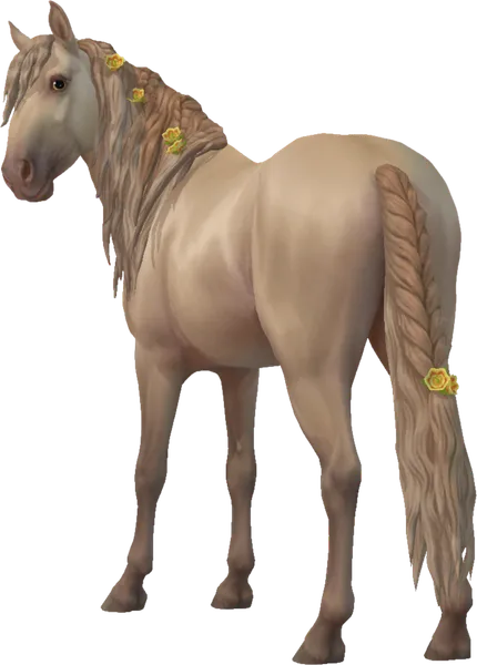 Jorvik Mountain Horse, Silver Amber Champagne