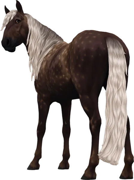 Jorvik Mountain Horse, Dapple Silver Black