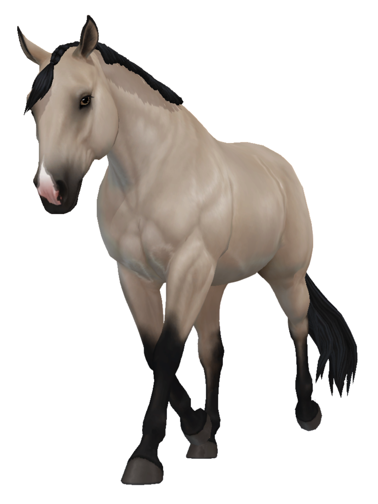 American Quarter Horse in Star Stable Online