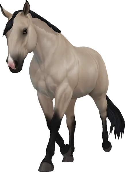 American Quarter Horse, Buttermilk Buckskin