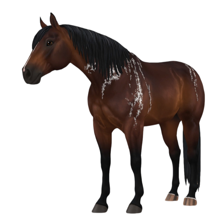 American Quarter Horse in Star Stable Online