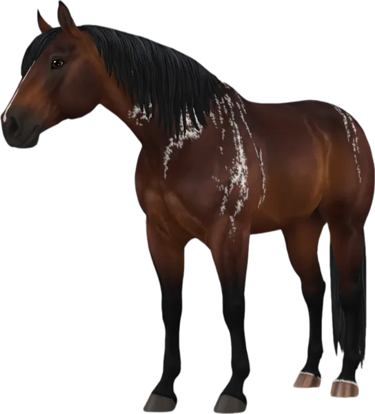 American Quarter Horse, Reverse Brindle Bay