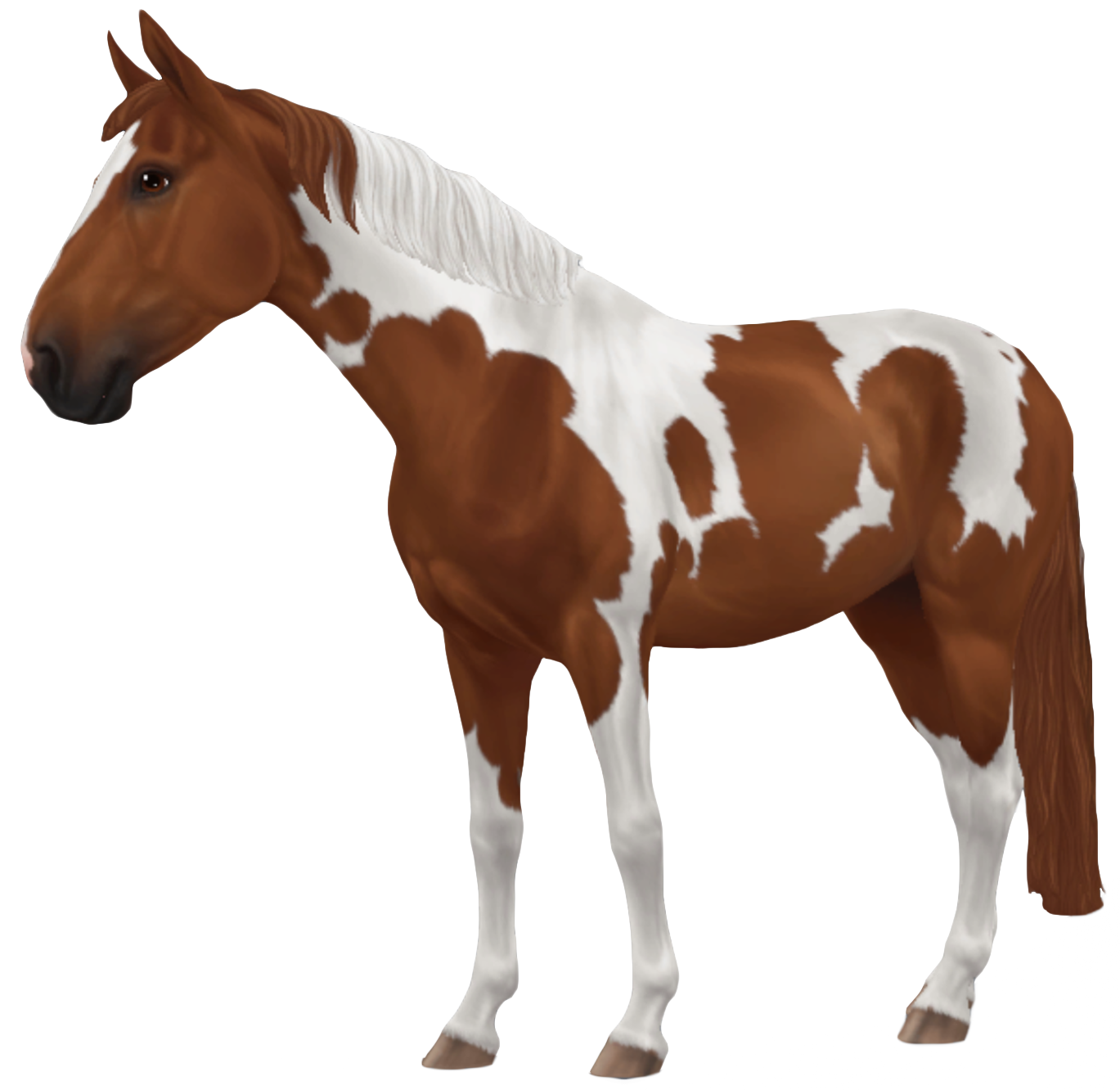 Swedish Warmblood in Star Stable Online