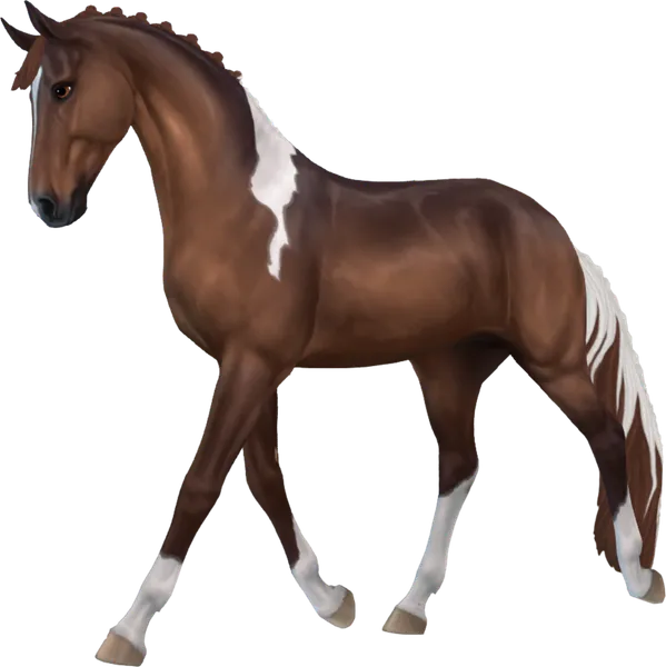 Westphalian, Liver Chestnut Tobiano