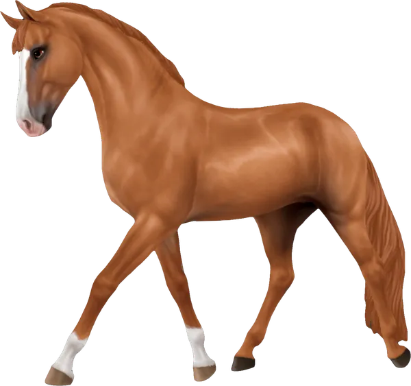 Westphalian, Chestnut
