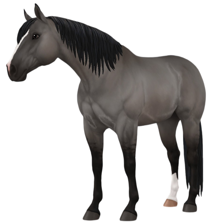 American Quarter Horse in Star Stable Online