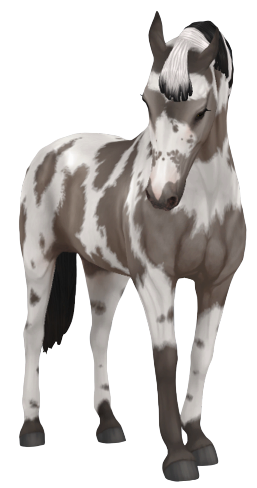 Belgian Warmblood in Star Stable Online