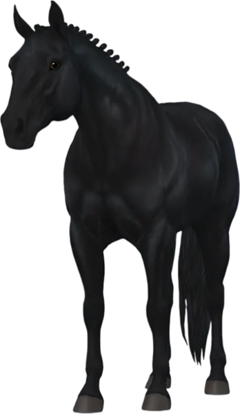 American Quarter Horse, Jet Black