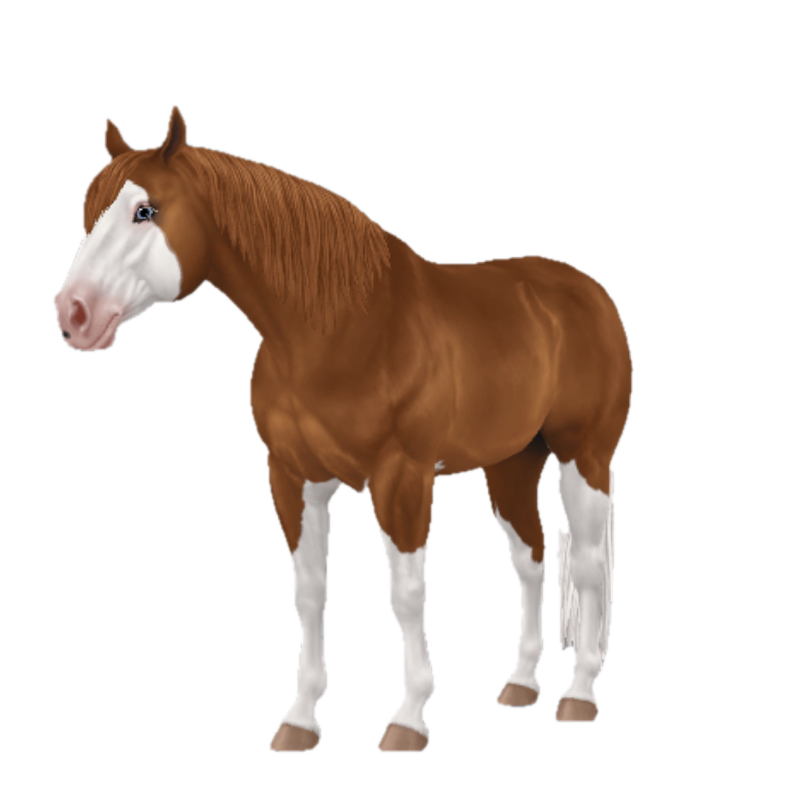 American Quarter Horse in Star Stable Online