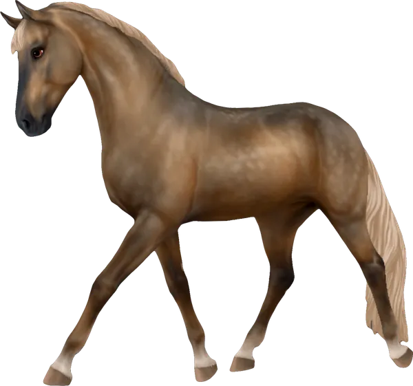 Westphalian, Sooty Palomino
