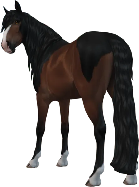 Jorvik Mountain Horse, Bay/Black Mosaic