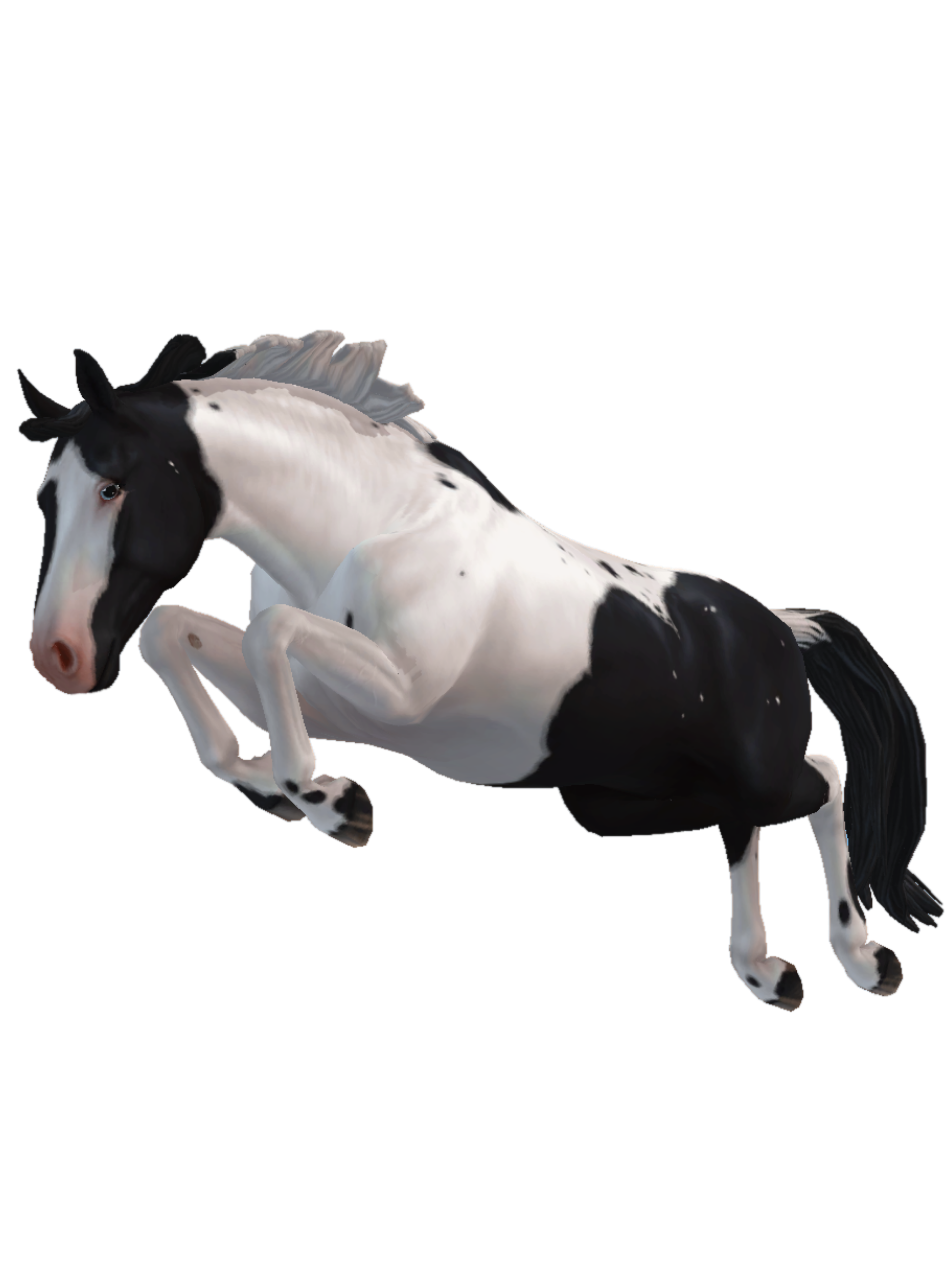 Hanoverian in Star Stable Online