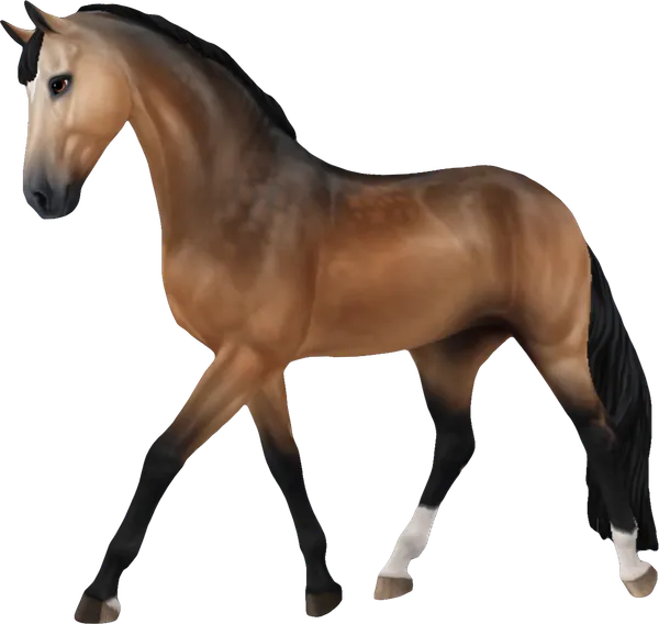 Westphalian, Sooty Buckskin