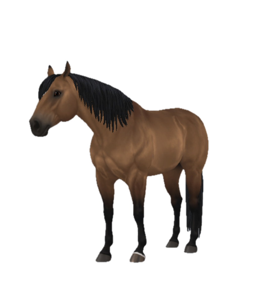 American Quarter Horse in Star Stable Online