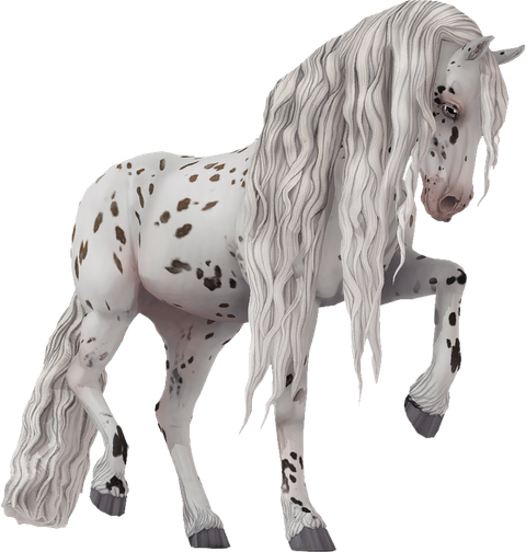 Bay Leopard Jorvik Friesian